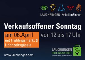 VOS Fruehling 2025 Plakat 297x420 quer neu